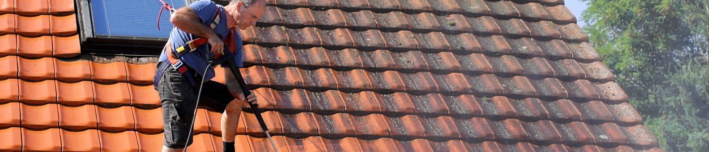 Roof Cleaning