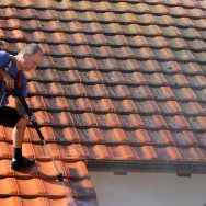 Roof Cleaning